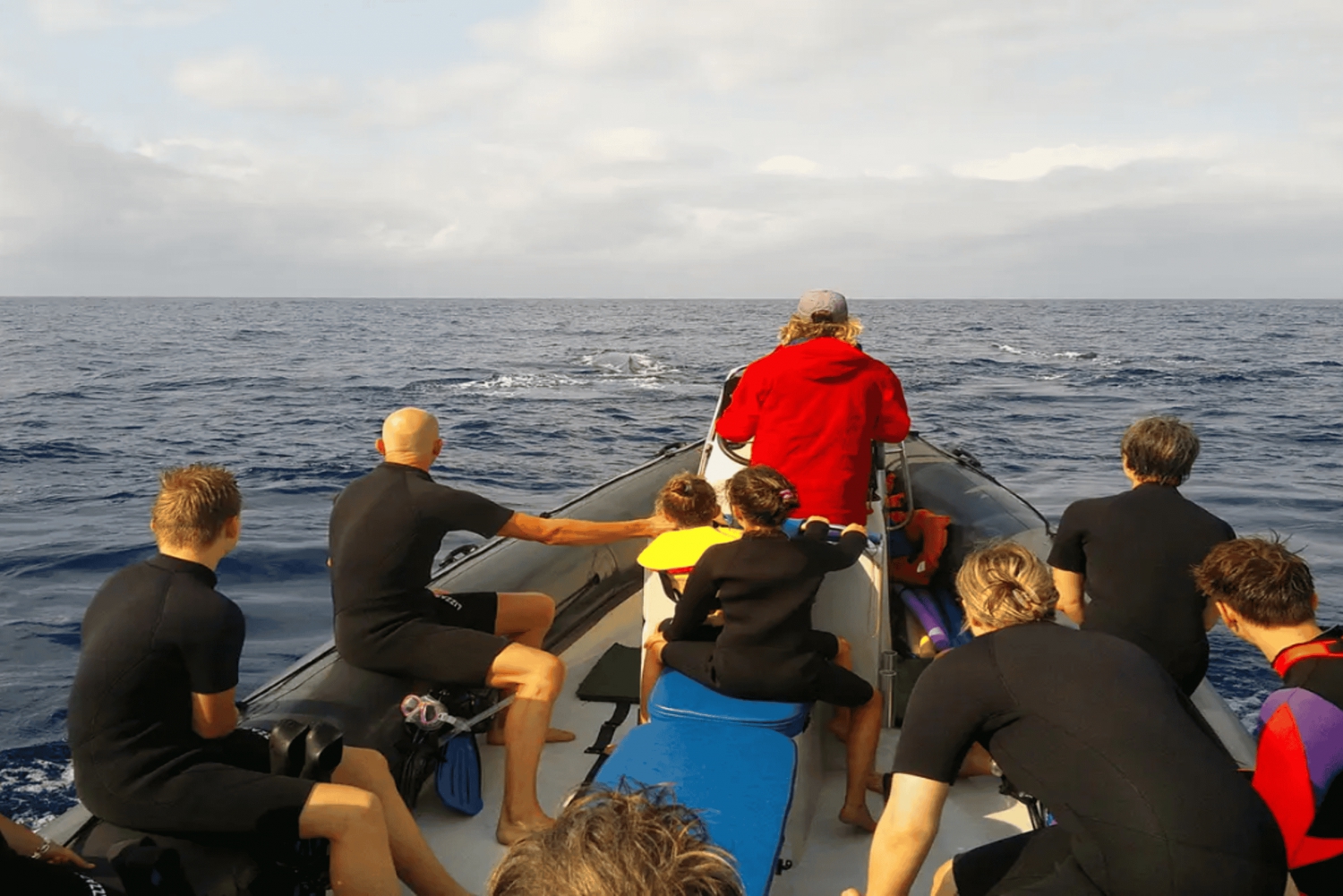 Maputo: Delfinsvømmetur i Ponta do Ouro