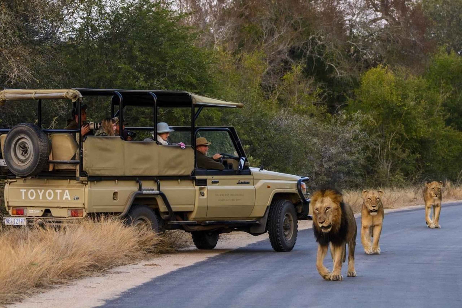 Parque Nacional da Reserva de Maputo: Safari épico de um dia