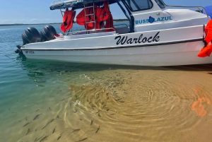 Mozambique: tour por Inhaca, Santa María y las islas portuguesas