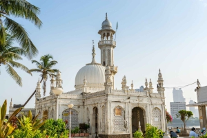 Mumbai: het beste van de stad, privétour van een halve dag