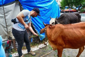 Mumbai: Full-Day Private Customized Guided Tour