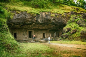 Mumbai: Private Day Tour with Elephanta Caves
