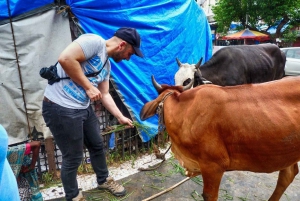 Mumbai: Private Day Tour with Elephanta Caves