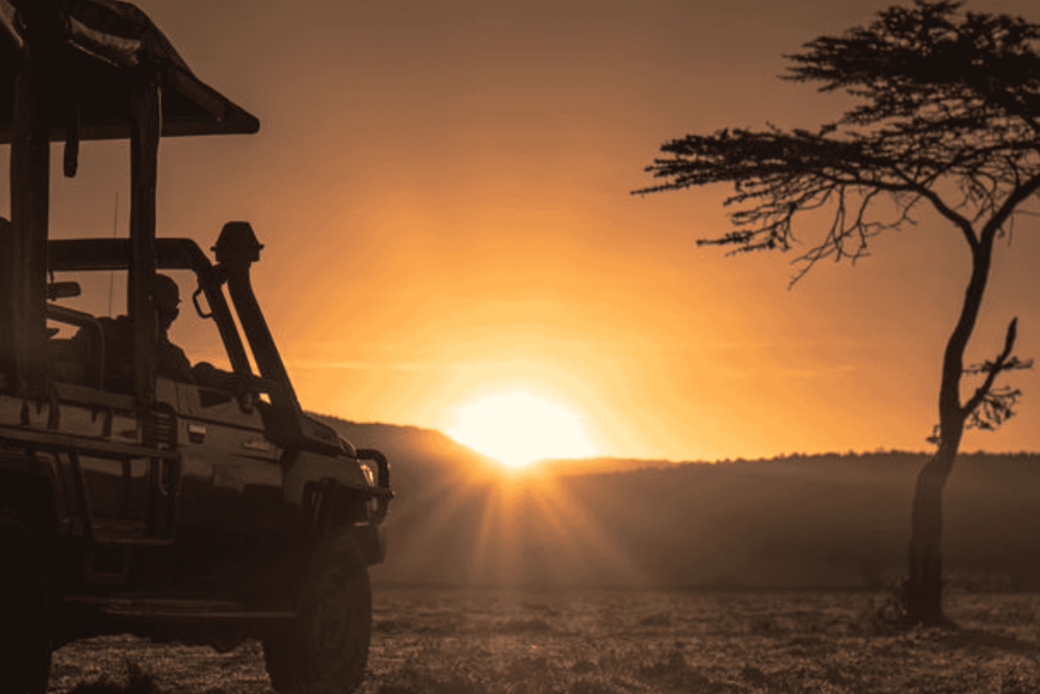 2-Day Etosha Big Five Safari from Windhoek