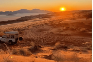 2-Day Etosha Big Five Safari from Windhoek