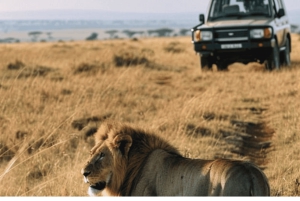 2-Day Etosha Big Five Safari from Windhoek