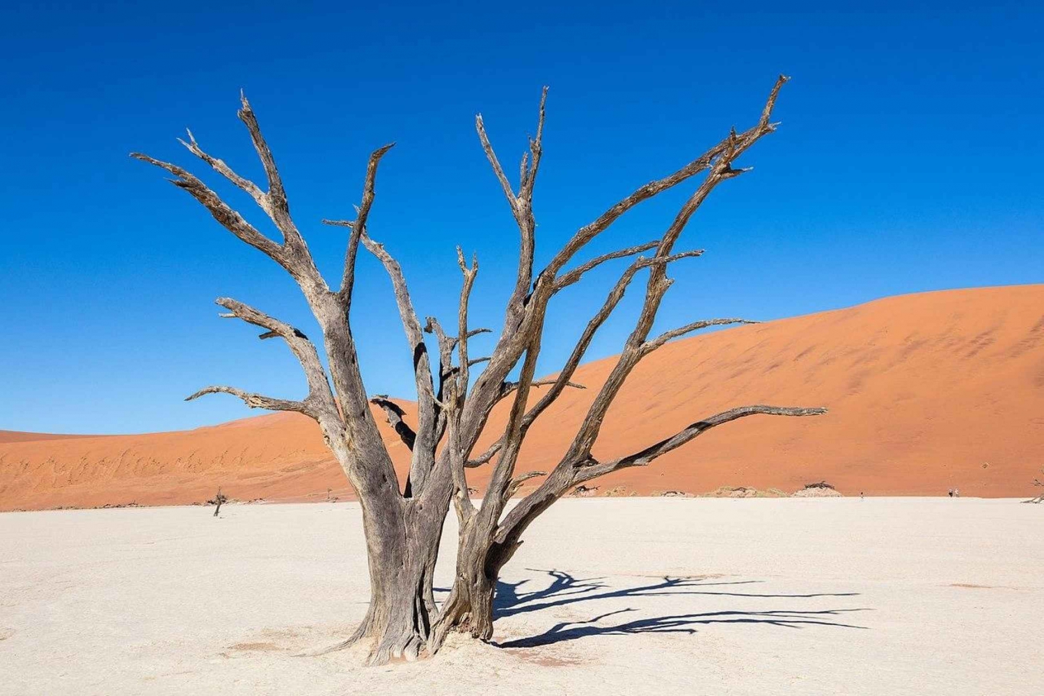 From Windhoek: Budget Sossusvlei Guided 2-Day Tour