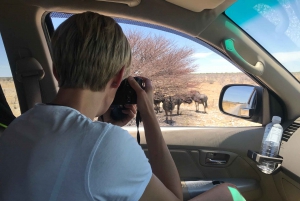 Etosha 4x4 Open Private Safari Full Day