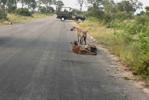 Etosha 4x4 Open Private Safari Full Day