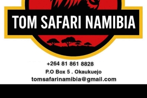 Etosha National Park: Full or Half-Day Game Drive