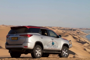 From Walvis Bay: Sandwich Harbor 4x4 Tour