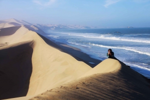 From Walvis Bay: Sandwich Harbor 4x4 Tour