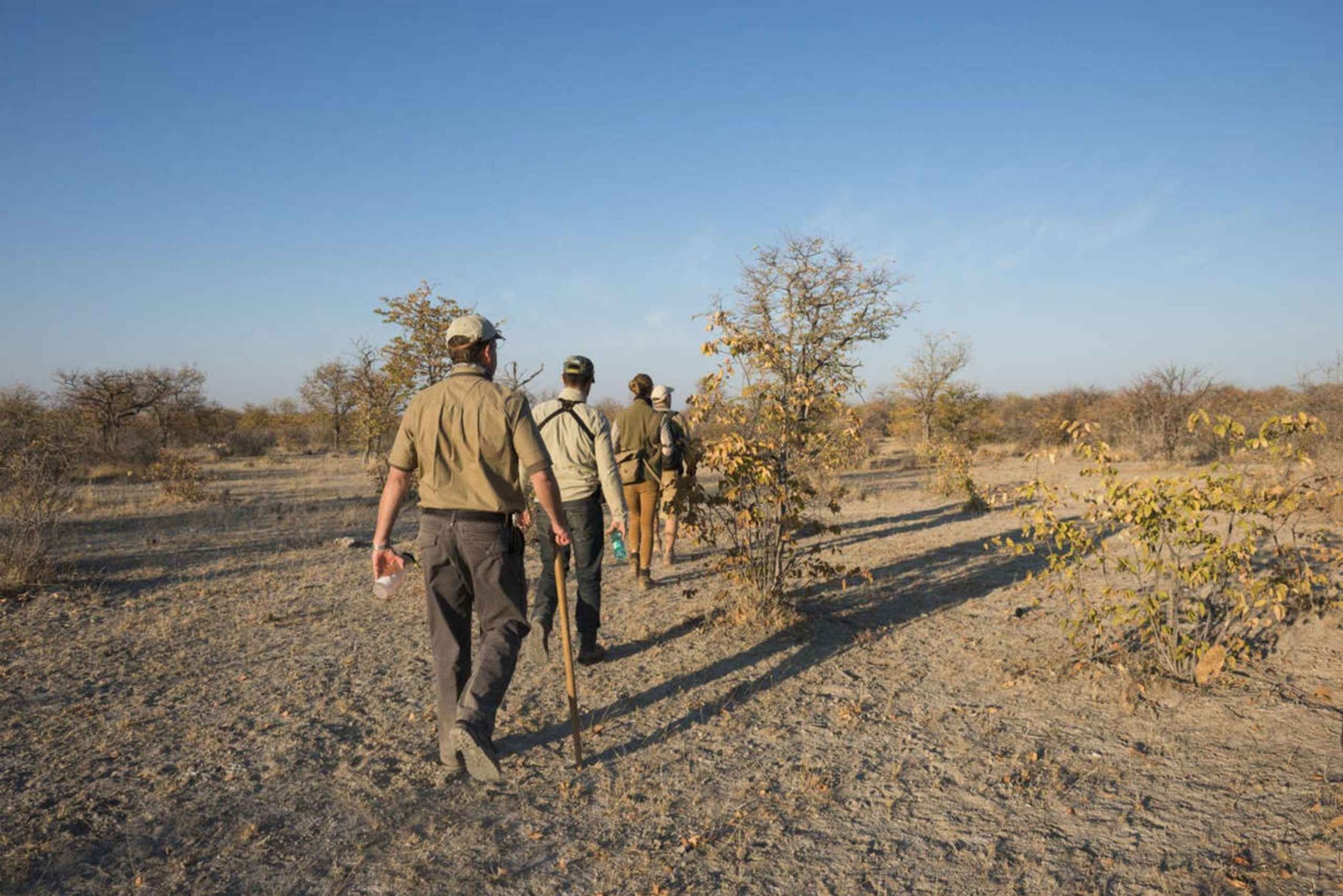 From Windhoek: Guided 1-Day Etosha National Park Safari Tour