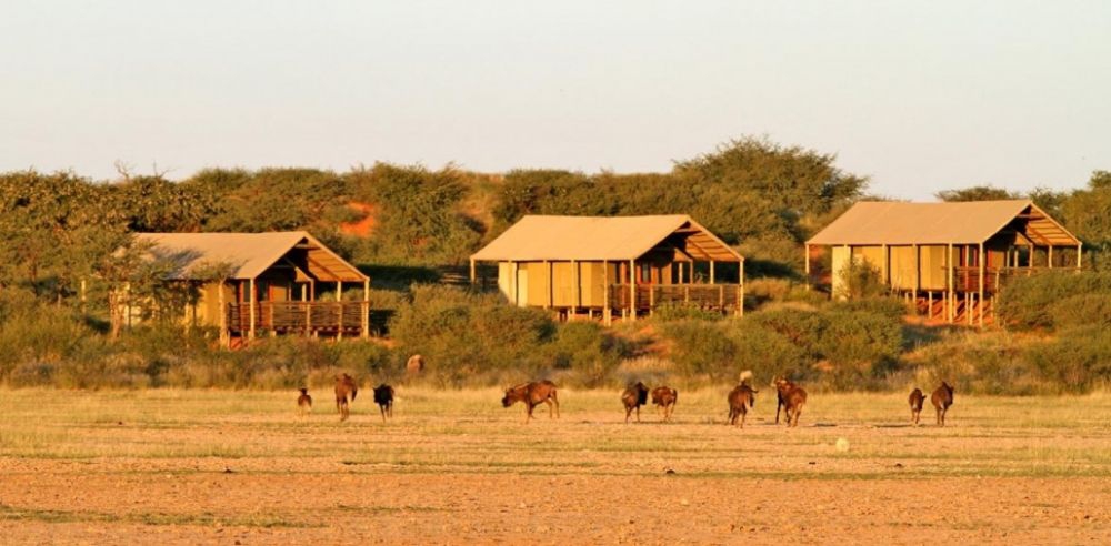 Intu Afrika: Suricate Kalahari Tented Lodge