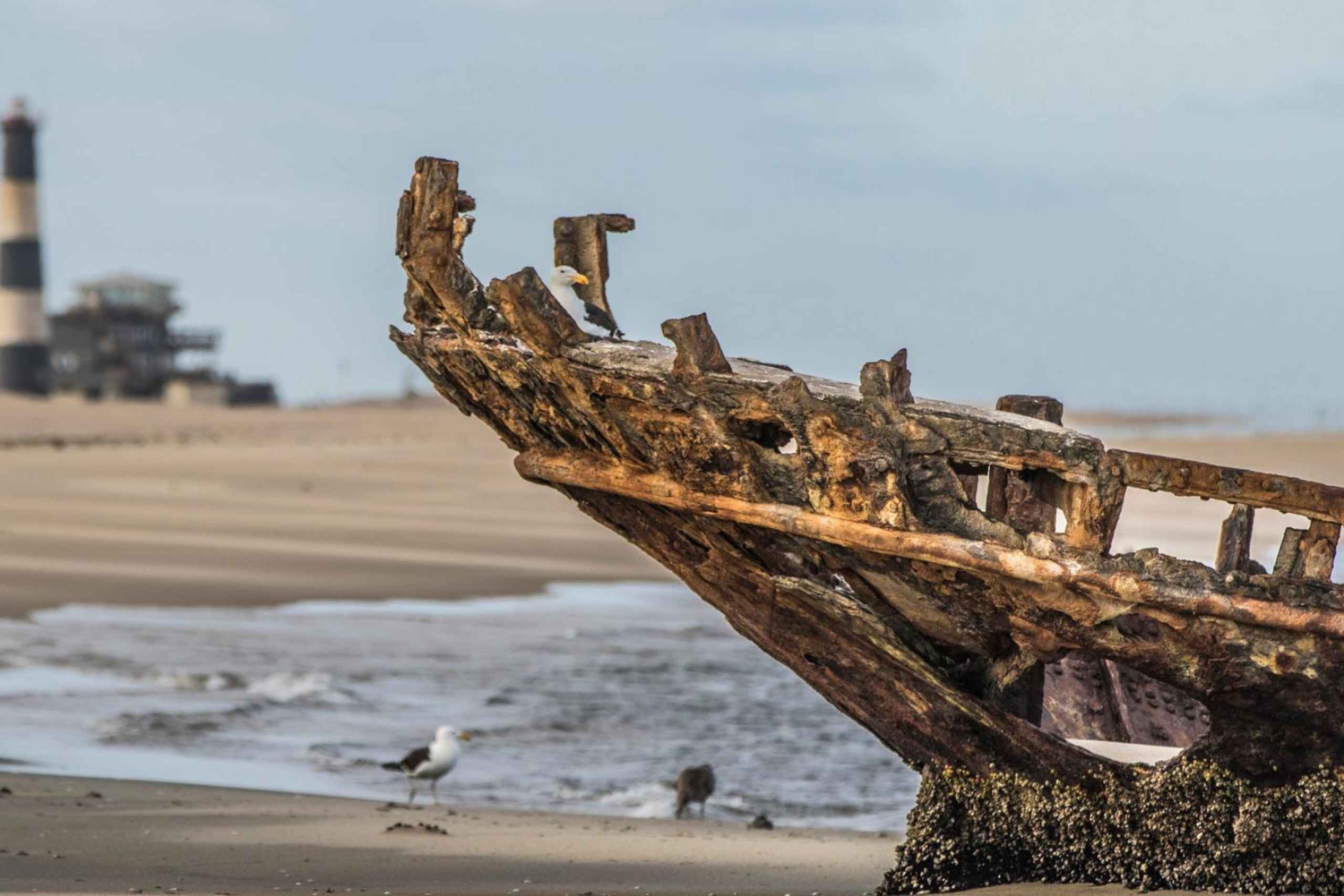 Namib Desert: Pink Salt Lakes, Seal Colony & Moon Valley