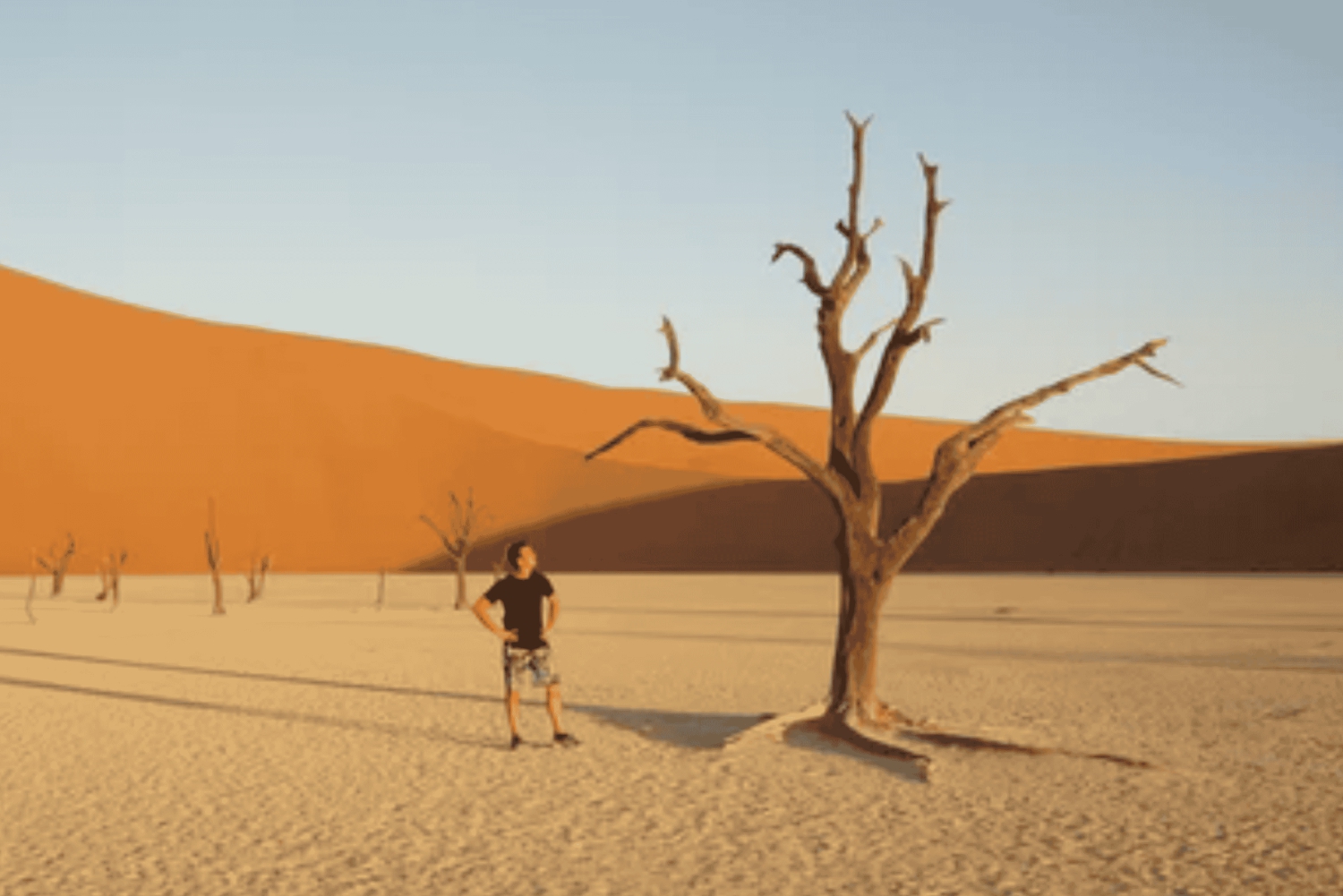 Namibia: Explore Africa’s largest canyon, dunes, salt pans