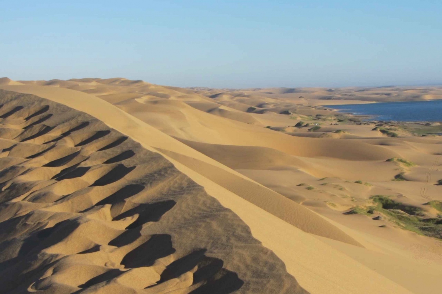 Walvis Bay: Sandwich Harbour Half-Day 4x4 Scenic Excursion