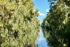 From Lafitte: Swamp Tours South of New Orleans by Airboat