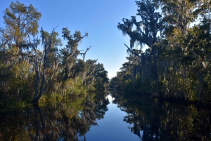 From Lafitte: Swamp Tours South of New Orleans by Airboat
