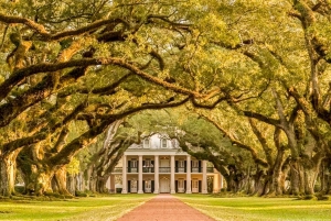 Från New Orleans: Rundtur på Oak Alley Plantation