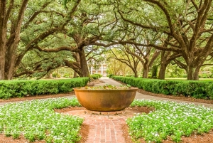 From New Orleans: Oak Alley Plantation Tour