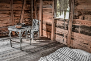 From New Orleans: Oak Alley Plantation Tour