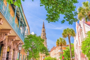 From New Orleans: Oak Alley Plantation Tour