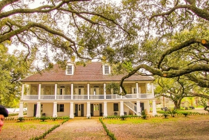 From New Orleans: Whitney Plantation Ticket & Transportation