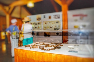 From New Orleans: Whitney Plantation Ticket & Transportation