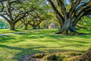 From New Orleans: Whitney Plantation Ticket & Transportation