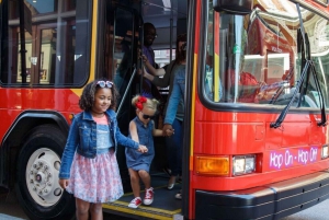 New Orleans: 2 & 3 Days Hop-On Hop-Off Bus with Walking Tour