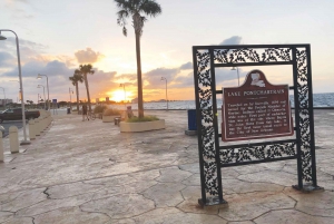 New Orleans: 2.5-Hour City & Cemetery Tour by Bus