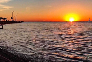 New Orleans: 2.5-Hour City & Cemetery Tour by Bus