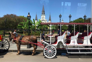 New Orleans: 2.5-Hour City & Cemetery Tour by Bus