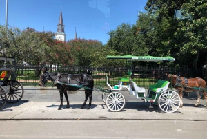 New Orleans: 2.5-Hour City & Cemetery Tour by Bus