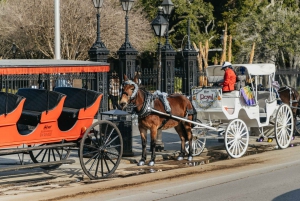New Orleans: Guided City Sightseeing Tour by Bus
