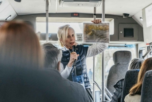 New Orleans: Guided City Sightseeing Tour by Bus