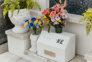 New Orleans: Guided City Sightseeing Tour by Bus