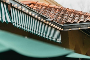 New Orleans: Guided City Sightseeing Tour by Bus