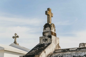 New Orleans: Guided City Sightseeing Tour by Bus