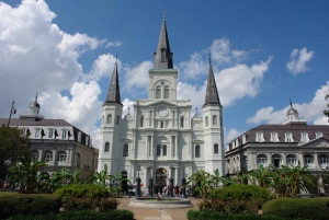 New Orleans: Guided City Sightseeing Tour by Bus