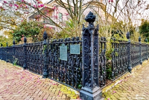 New Orleans: Guided City Sightseeing Tour by Bus