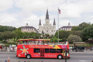 City Sightseeing New Orleans HOHO-bustur og ekstraudstyr, der kan bestilles