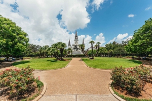 New Orleans: Hop-On Hop-Off Sightseeing Tour