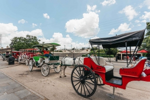 New Orleans: Hop-On Hop-Off Sightseeing Tour