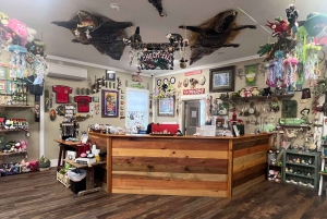 New Orleans Manchac Bayou Swamp Cruise W/ Optional Pick-Up