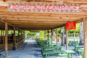 New Orleans: Manchac Bayou Swamp Cruise with Optional Pickup