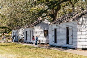 New Orleans: Oak Alley Plantation & Airboat Swamp Combo Tour
