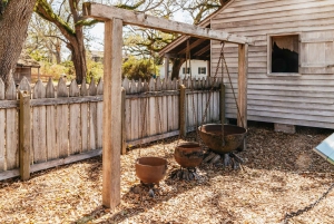 New Orleans: Oak Alley Plantation & Airboat Swamp Combo Tour