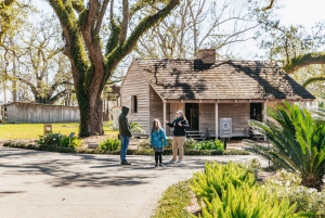 New Orleans: Oak Alley Plantation & Airboat Swamp Combo Tour
